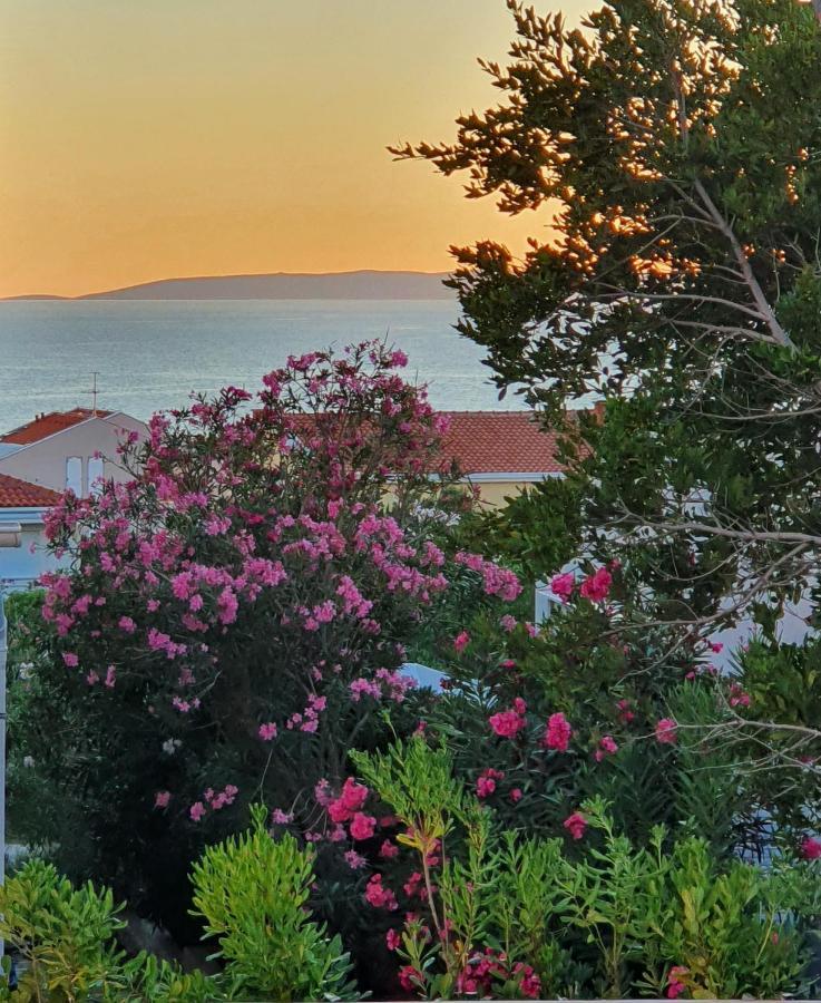 Villa Aquamarine Apartments Novalja Εξωτερικό φωτογραφία